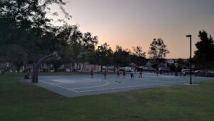 Soccer Field image 1