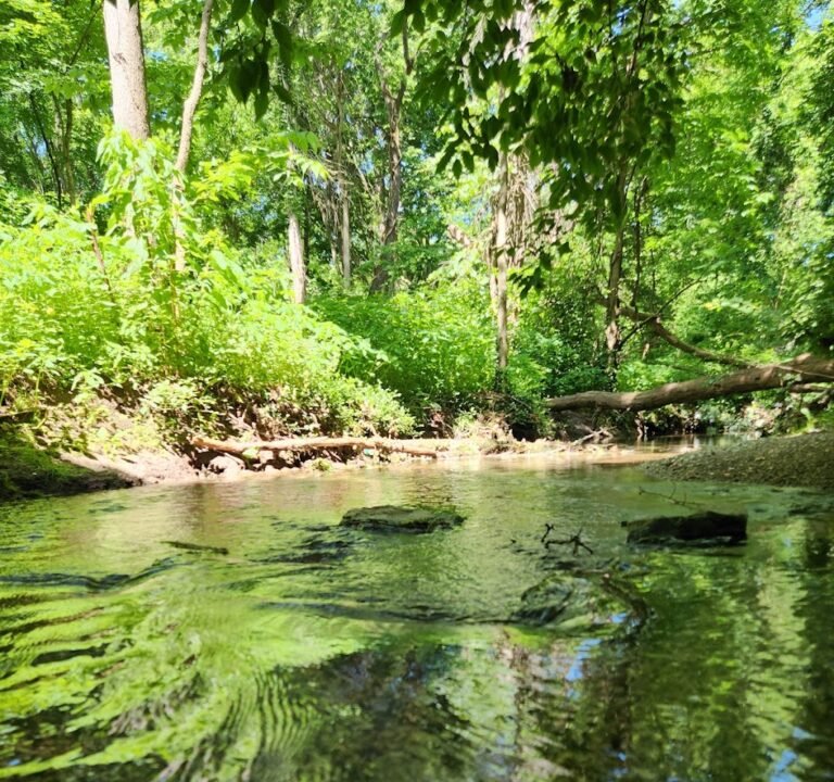 Soccer Field image 2