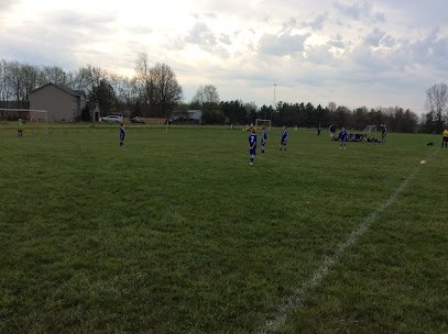 Soccer Field image 1