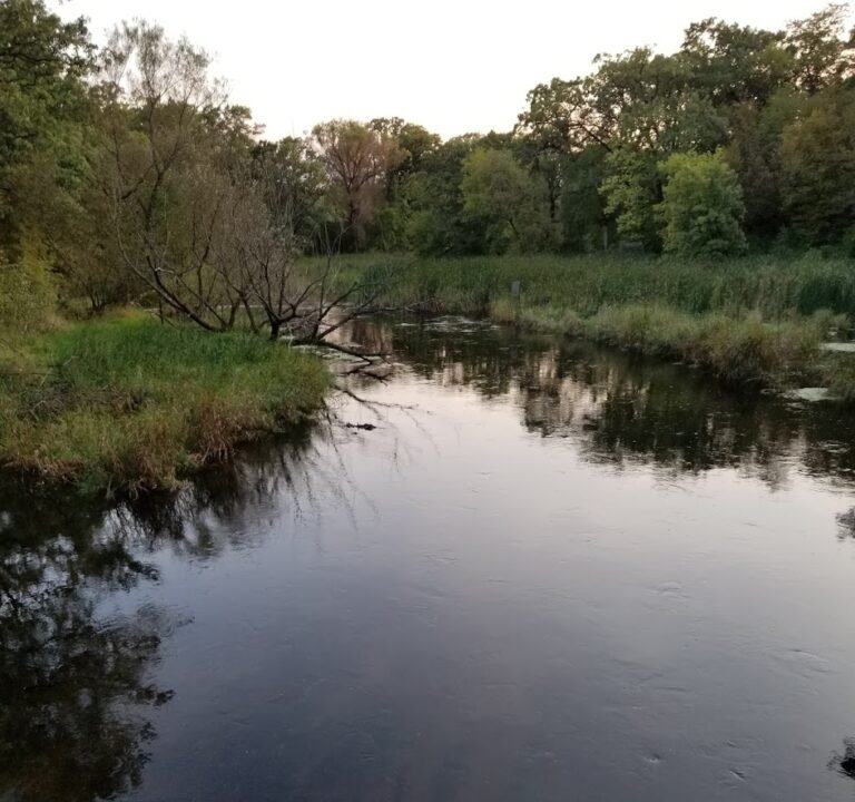 Soccer Field image 2