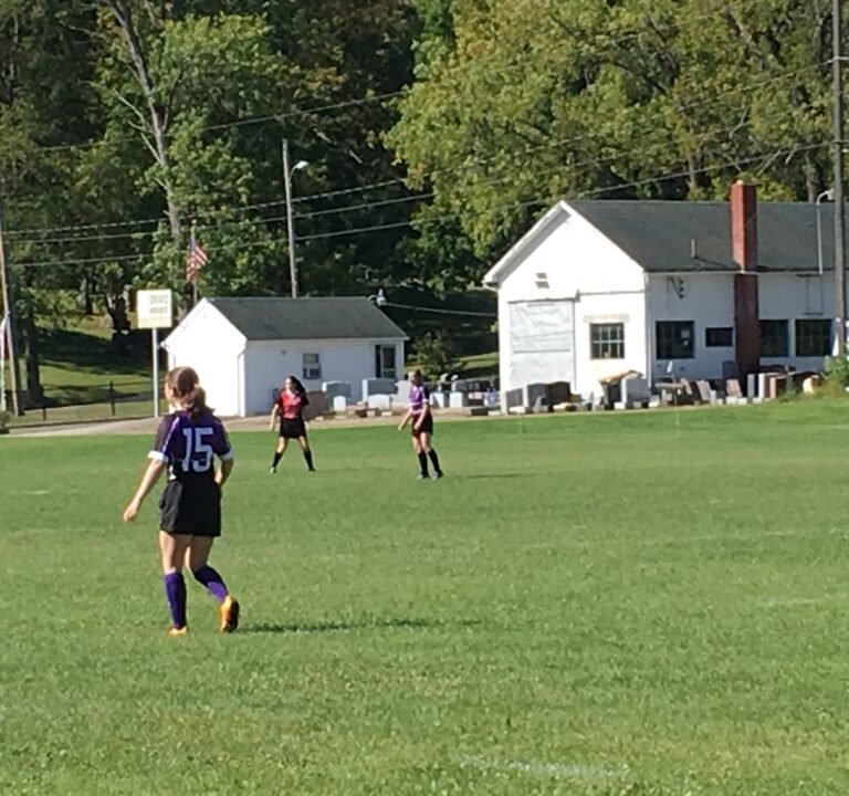 Soccer Field image 2