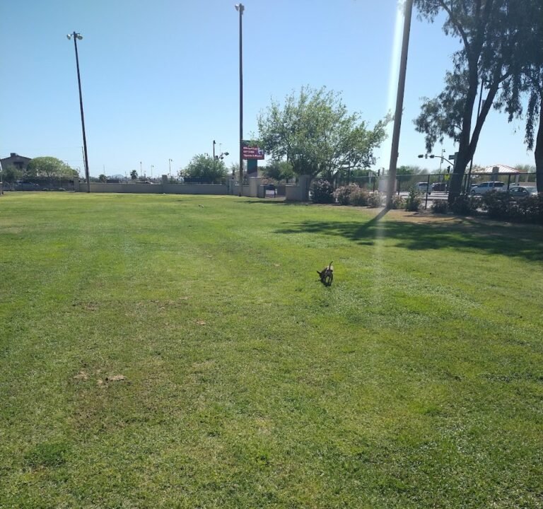 Soccer Field image 2