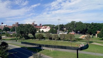 Soccer Field image 1