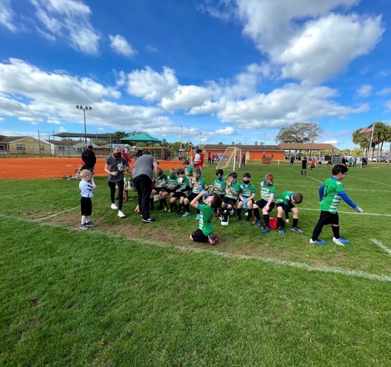 Soccer Field image 2