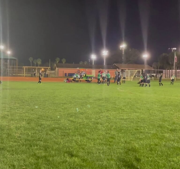 Soccer Field image 4