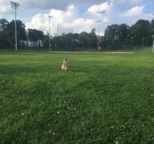 Soccer Field image 2