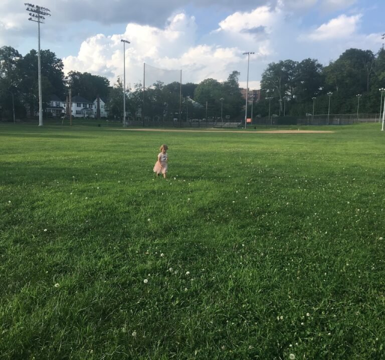Soccer Field image 2