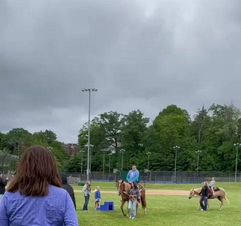Soccer Field image 4
