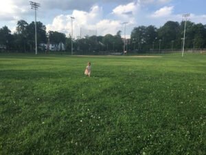 Soccer Field image 1