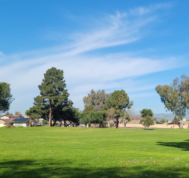 Soccer Field image 3