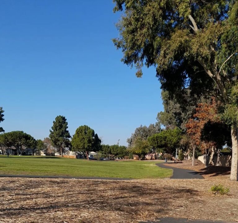 Soccer Field image 4