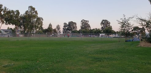 Soccer Field image 1