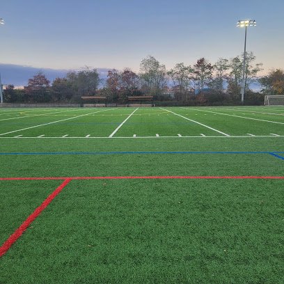 Soccer Field image 1