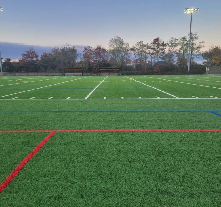 Soccer Field image 2