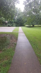 Soccer Field image 1