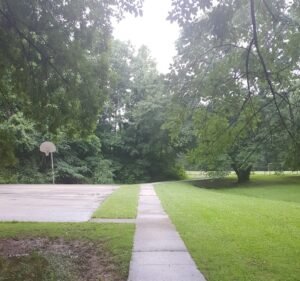 Soccer Field image 2