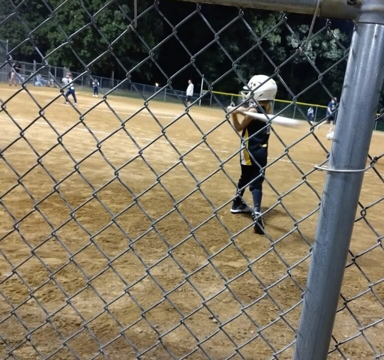 Soccer Field image 2