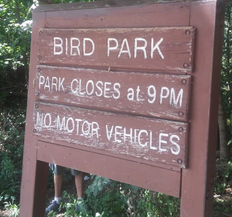 Soccer Field image 3