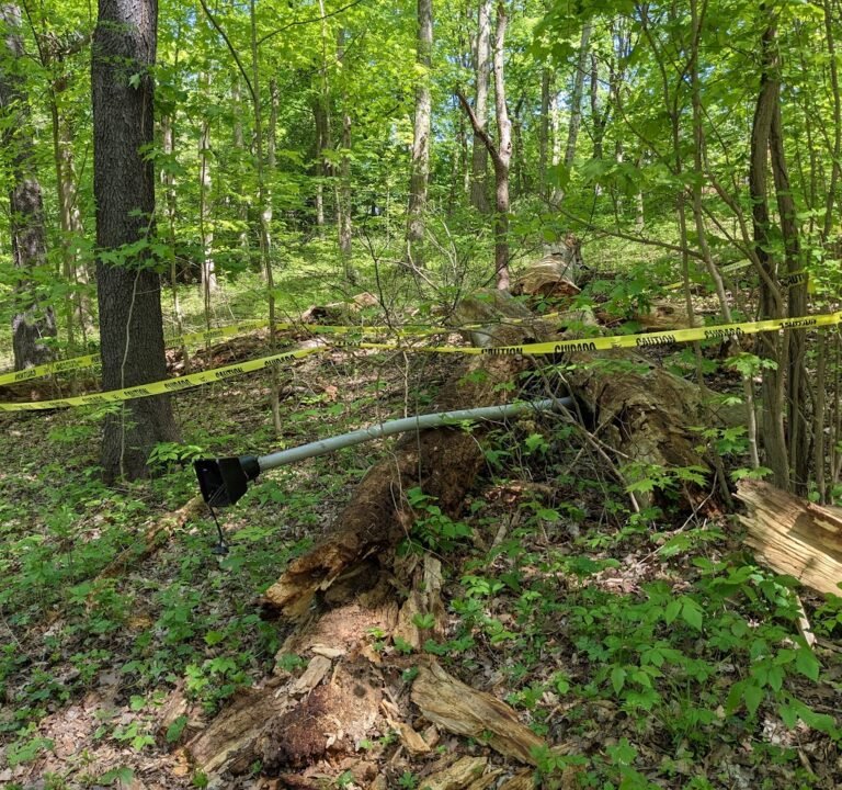 Soccer Field image 2