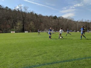Soccer Field image 1