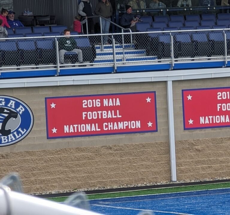 Soccer Field image 3