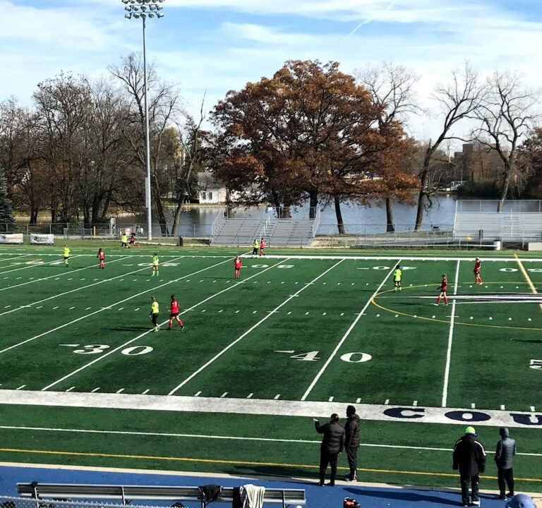 Soccer Field image 2