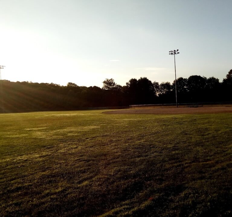 Soccer Field image 2