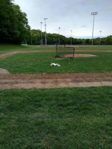 Soccer Field image 1