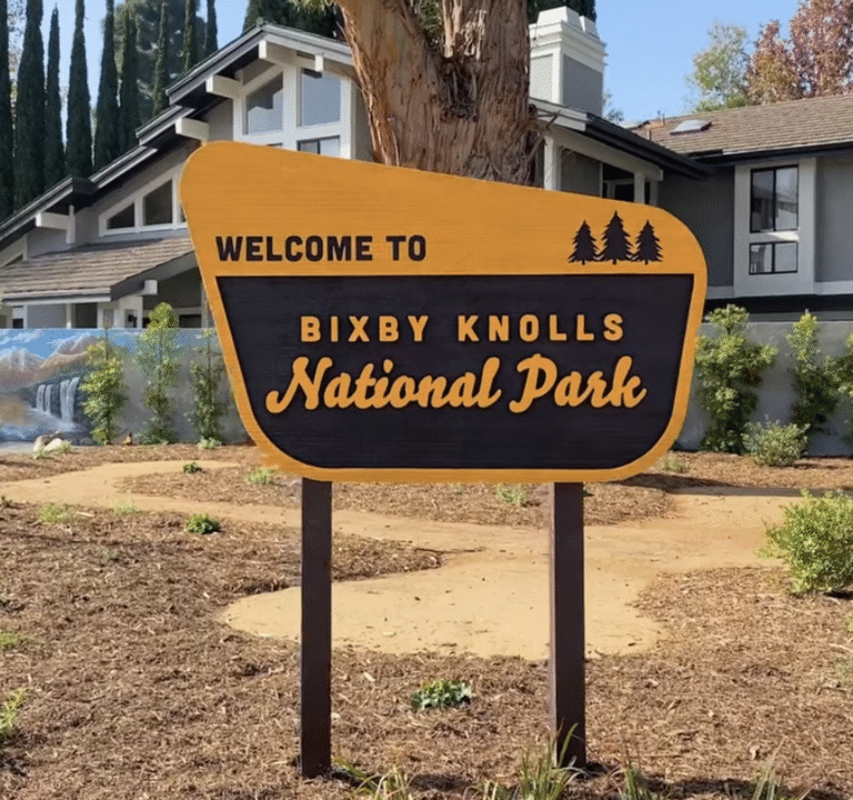 Soccer Field image 2