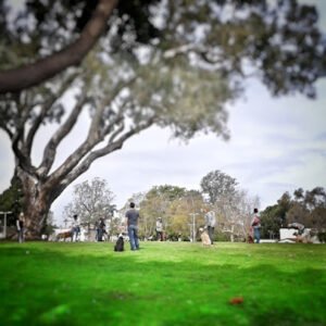Soccer Field image 1