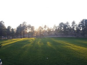Soccer Field image 1