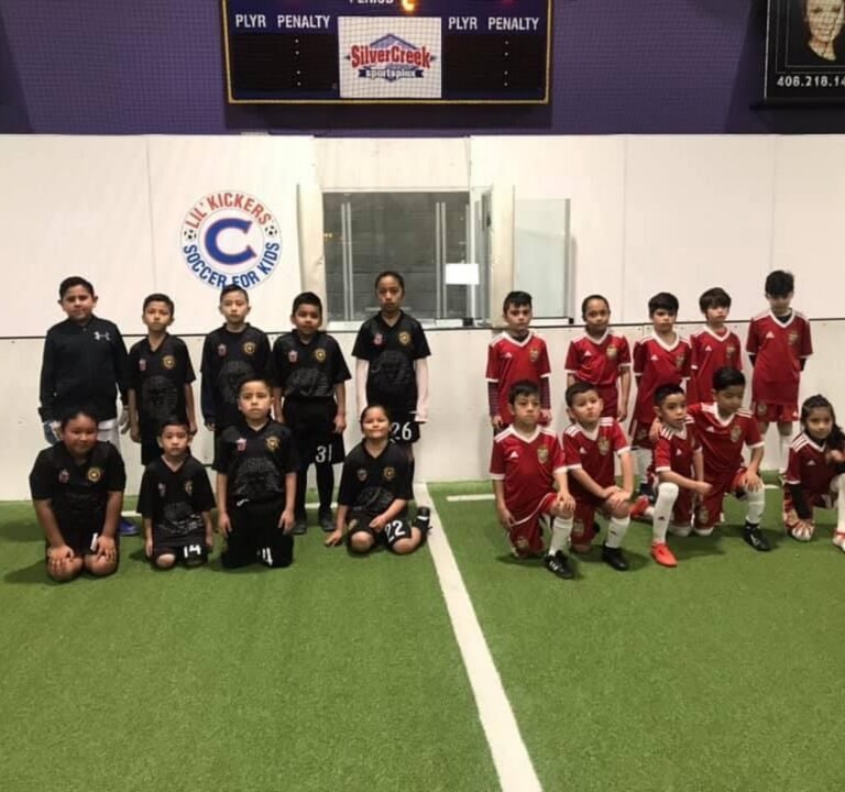 Soccer Field image 2