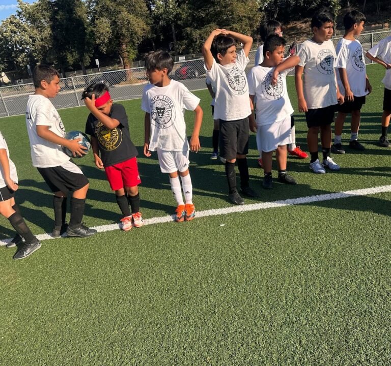 Soccer Field image 3