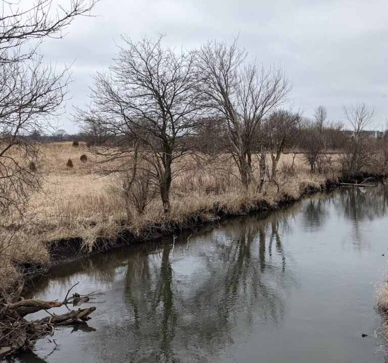 Soccer Field image 2