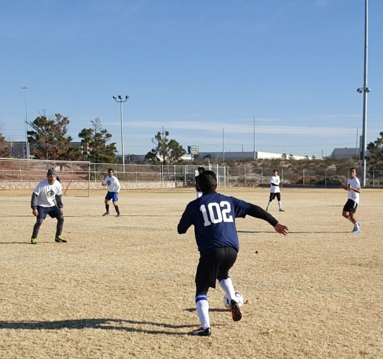 Soccer Field image 2
