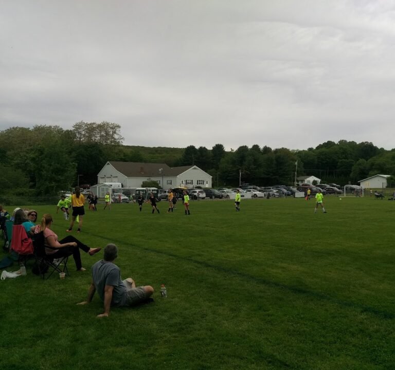Soccer Field image 2