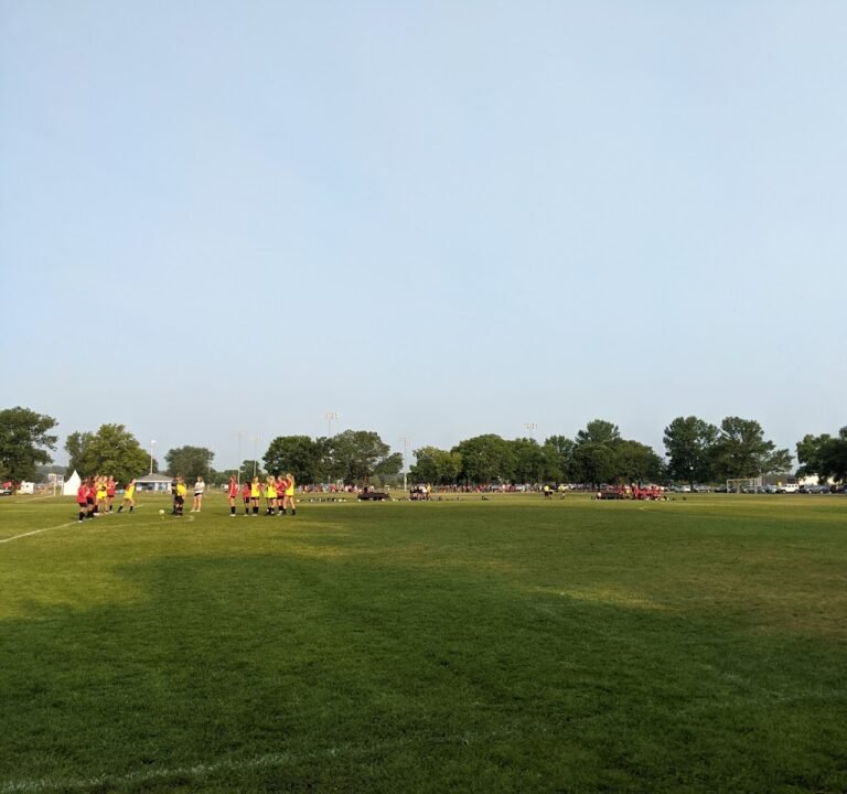 Soccer Field image 2