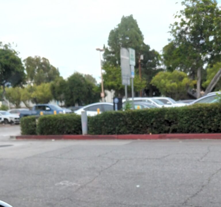 Soccer Field image 2