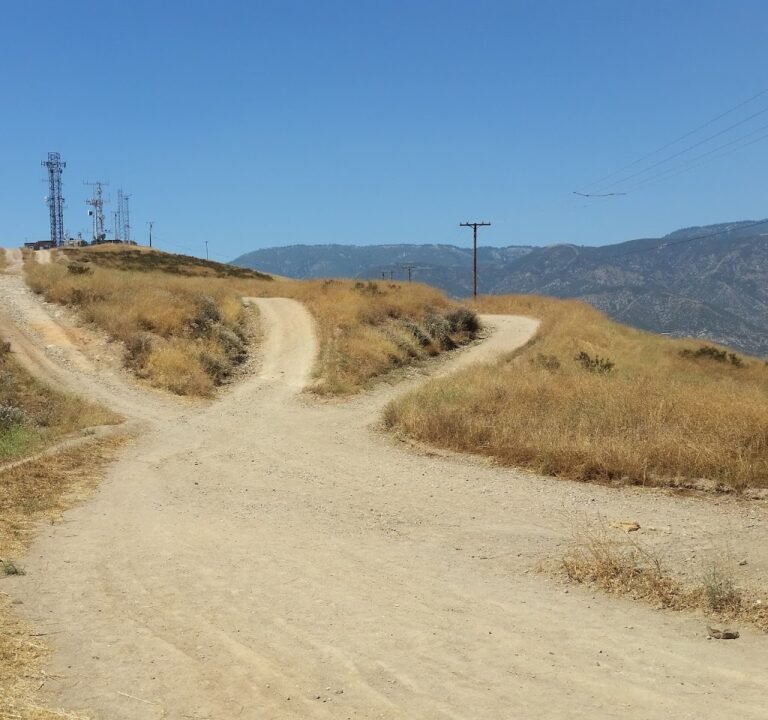 Soccer Field image 3