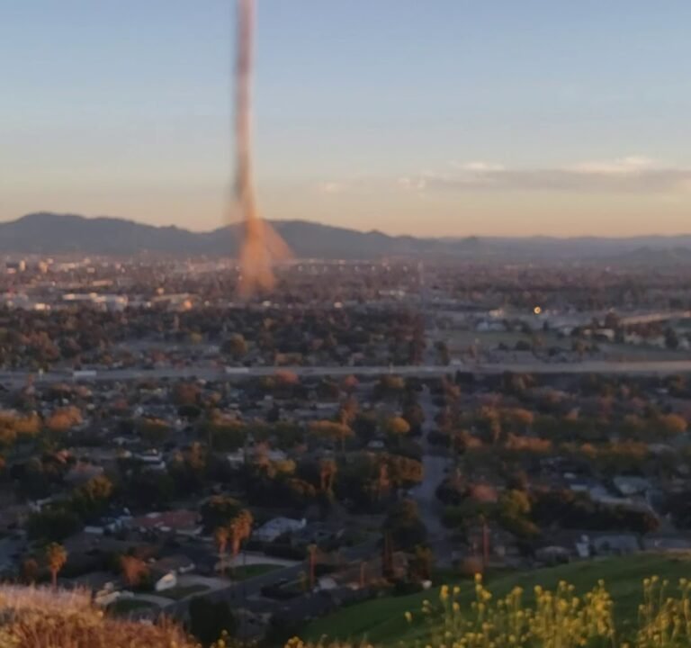 Soccer Field image 4