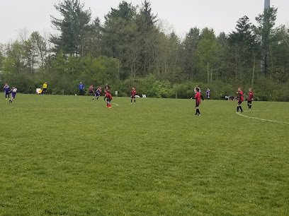 Soccer Field image 1