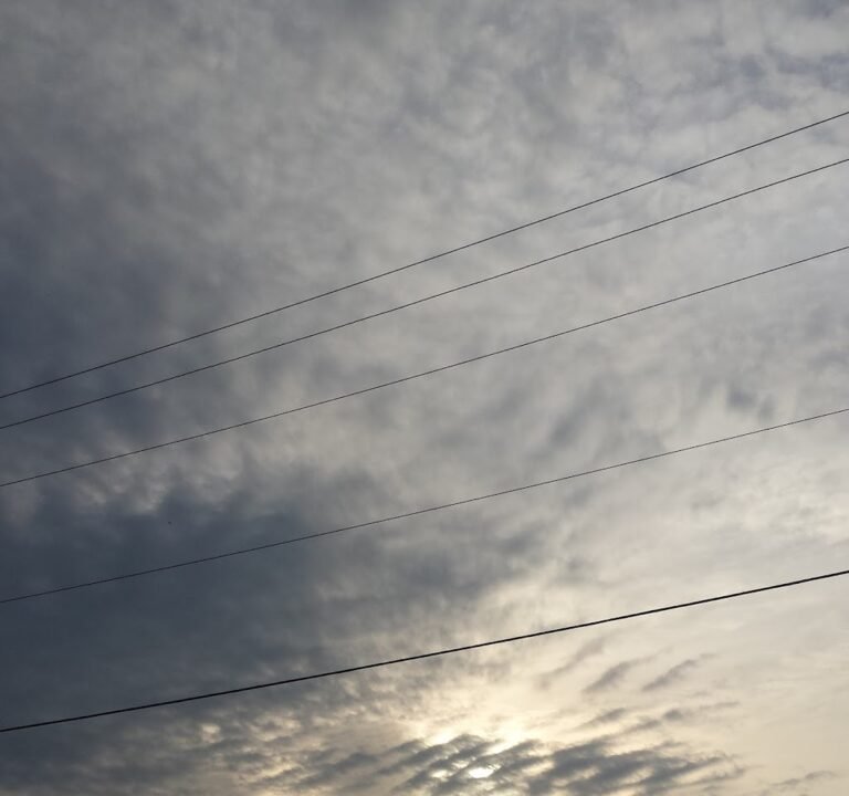 Soccer Field image 3