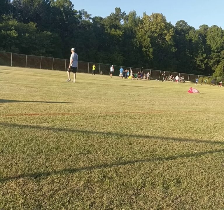 Soccer Field image 4