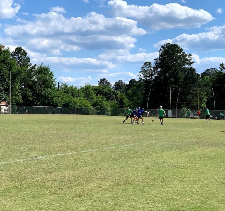 Soccer Field image 2