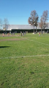 Soccer Field image 1