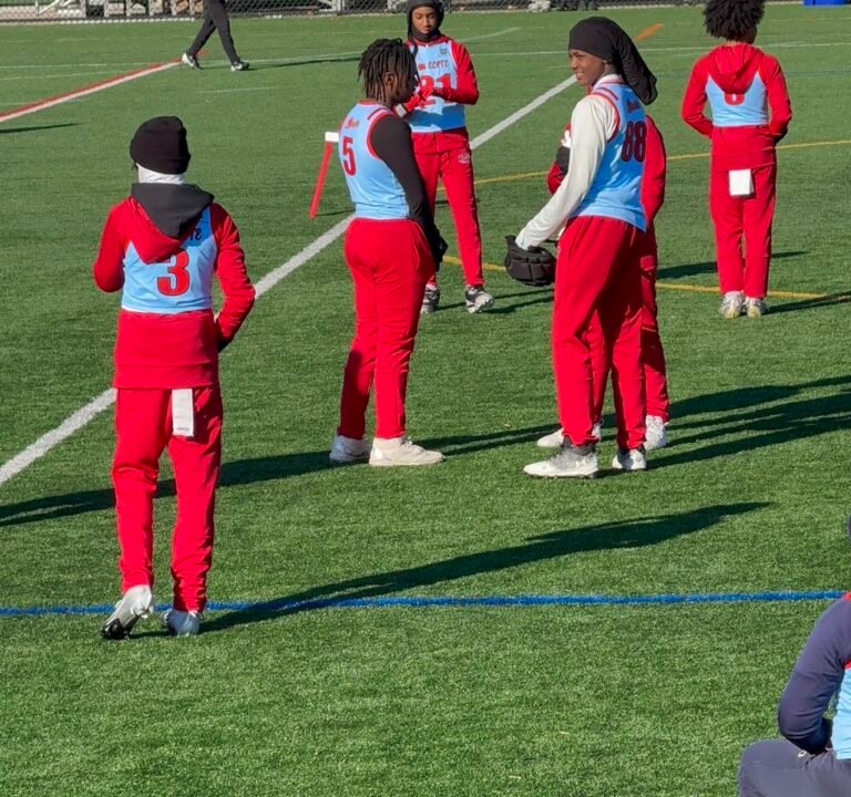 Soccer Field image 3