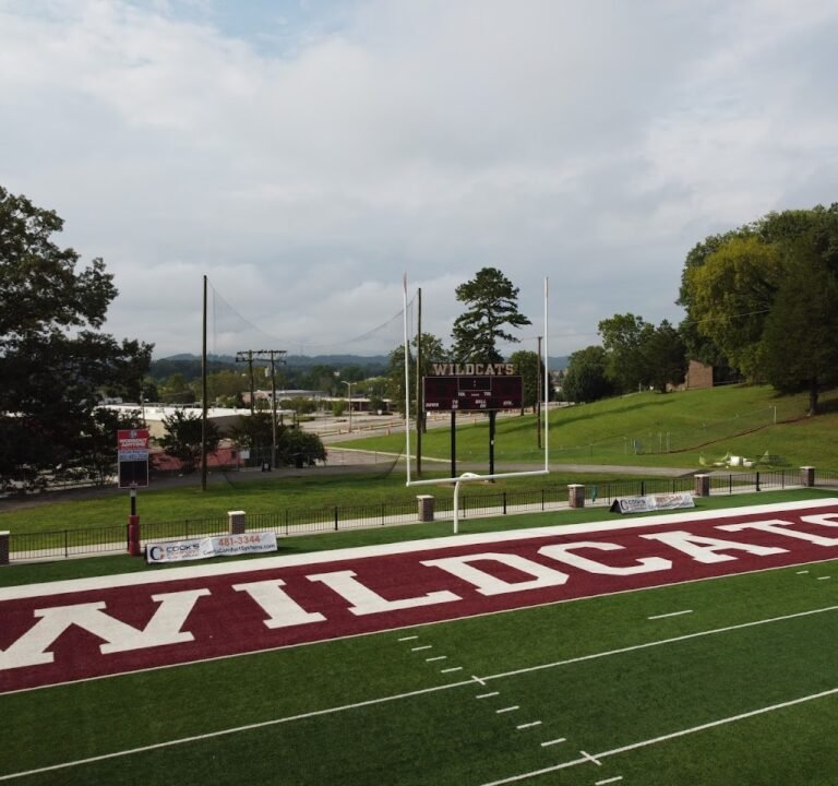 Soccer Field image 2