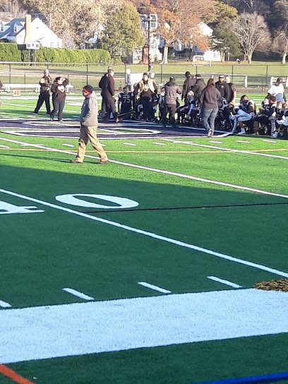 Soccer Field image 1