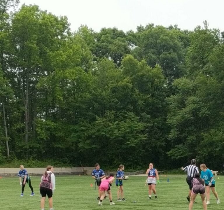 Soccer Field image 4