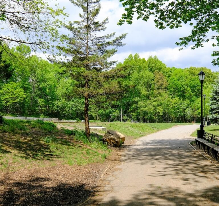 Soccer Field image 2